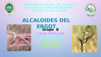Ergot desarrollo en su historia