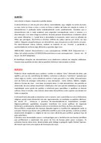 ATIVIDADE 3 DE ANTROPOLOGIA E CULTURA BRASILEIRA