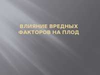 Реферат Влияние Вредных Факторов На Плод Реферат Влияние Вредных Факторов На Плод