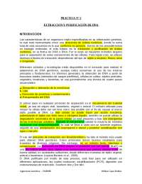 extraccion y purificacion de dna