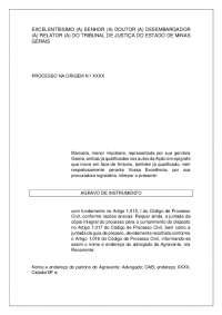 Agravamento de Instrumento em Ação de Alimentos: Necessidade e Capacidade do Alimentante