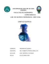Informe Cinética Química
