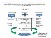 infografia seres vivos