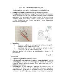 técnica intraorales en la toma de la película radiográfica en diferente posiciones