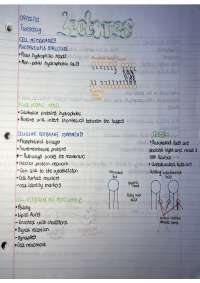 Cell Membranes (Intro to Biology)