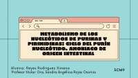 Metabolismo de Nucleótidos de Purinas y Pirimidinas: Ciclo del Nucleótido de Purina