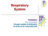 The Respiratory System - Docsity