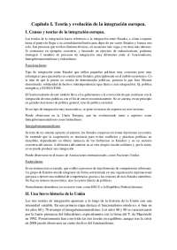resumen manual derecho comunitario