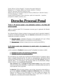 Apuntes Derecho Procesal Penal