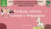 Acidosis, cetosis y timpanismo ruminal