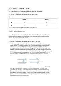 Relatório cuba de ondas