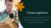 Resumo sobre Gametogênese