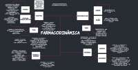 MAPA MENTAL FARMACODINÂMICA