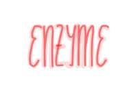 Zusammenfassung- Enzyme