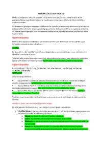 Tórax inestable - fractura costal y contusión pulmonar - Docsity