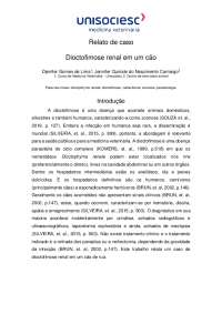 Dioctofimose renal em um cão