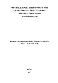 Técnicas Analíticas em Microscópio Eletrônico de Varredura (MEV): EDS, EBSD E EPMA