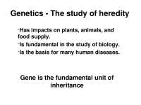 Genetics and Cell Division: Understanding Meiosis and Mitosis