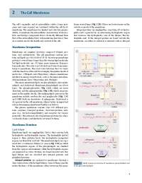 Cell Membrane: Structure, Function, Proteins, Disorders & Transport