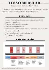 Lesão Medular: o que e? níveis, sintomas.