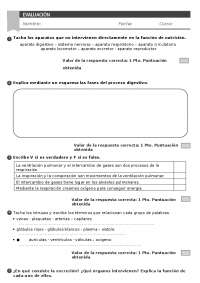 5º primaria evaluacion bloque 2