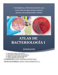 Atlas de Bacteriología I