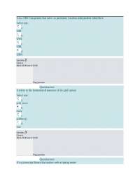 Web Development Quiz: Fundamentals of Web Development
