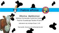 Fiebre Aftosa: Características, Transmisión, Diagnóstico y Prevención
