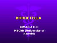 microbiology studies