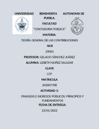 FINANZAS E INGRESOS PÚBLICOS: PRINCIPIOS Y FUNDAMENTOS