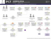 ESQUEMA DE LA AUDIENCIA INICIAL EN MEXICO