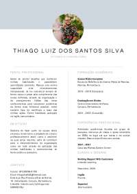 Currículo de Thiago Luiz: Objetivos, Formação, Experiência e Perfil