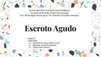 Escroto agudo, un abordaje general del dx y tx.