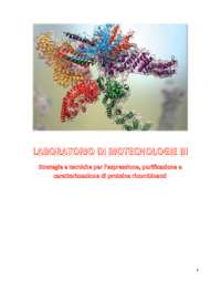 Appunti di laboratorio di biotecnologie III (Prof.ssa Rita Crinelli)