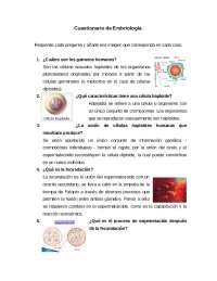 Cuestionario de Embriología: Preguntas y Ejercicios para el Estudio