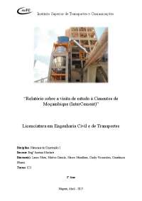 Relatório sobre a visita de estudo à Cimentos de Moçambique (InterCement) - Lauro M