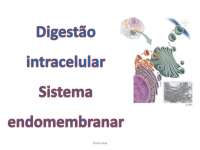 Digestão intracelular