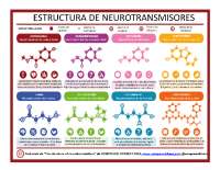 Estructura de neurotransmisores.