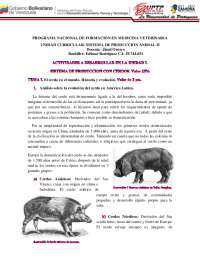 Manejo de Cerdos, Cuidados, Clasificacion, Razas y manejo de crias