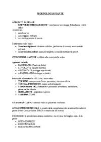 MORFOLOGIA delle PIANTE