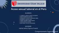 Acoso sexual laboral en el peru