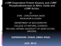 cGMP-Dependent Protein Kinases and cGMP Phosphodiesterases in Nitric Oxide and cGMP Action