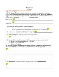 Final exam exercise for Morphology course