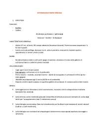 Appunti di Entomologia parte speciale