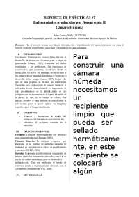 Cámara Húmeda de Fitopatología G.