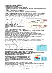 Teoria e didattica sport natatori modulo 2