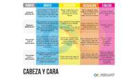 tabla de musculos feria fita