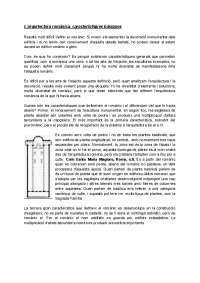 Romànic i gotic Jacobo Vidal