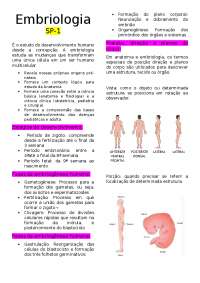 Origens Pré-Nasais e Desenvolvimento Humano: Anatomia e Embriologia
