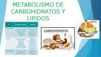 Bioenergètica y metabolismo de carbohidratos
